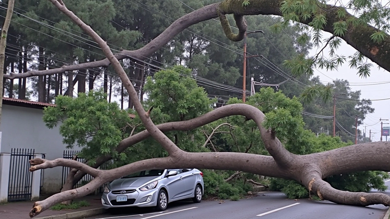 Apagão em São Paulo: Tempestade Deixa 1,6 Milhão Sem Energia, Impactos da Infraestrutura e Segurança